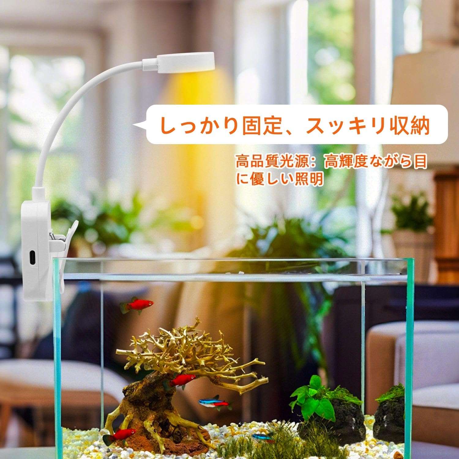 海水魚　LED水槽ライト 2個セット クリップ式ホルダー付 Amazon.co.jp: KKLM 水族館 クリップライト 照明小型成長ライト